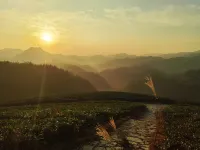 保康西嶺山荘 - マウンテンビュー