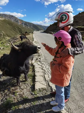 Basu Molv Reception Station Отели в г. Басу