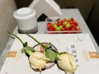 麗江晶璽ヒルトンホテル - スパ