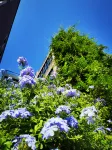 Foshan Xianlu Island Taohuayuan Homestay Hotels near Heshun Comprehensive Market