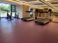 鉑領薈ホテル（成都パンダ基地成都医学院） - ジム