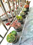 Lianyi Xiaoyuan Homestay Hotels in Yunxi District