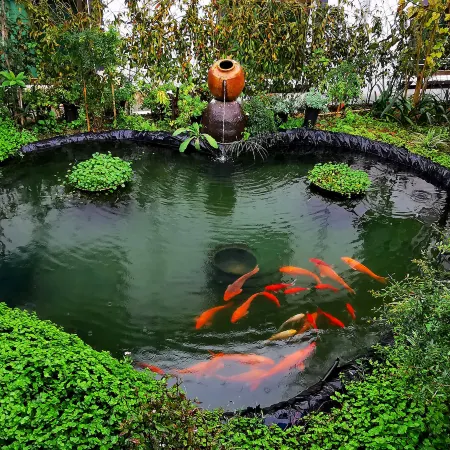 Liancheng Shenlong Inn