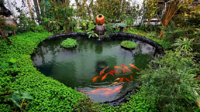 Liancheng Shenlong Inn