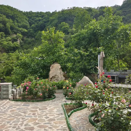Landscape Forest Homestay