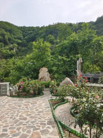 Landscape Forest Homestay