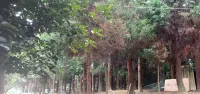 Shizhu Jingquan Summer Resort Farmhouse