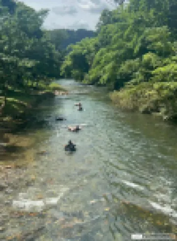 Amornkeeree Khao Sok Camping