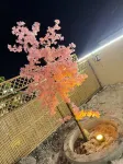 Jingxiang Homestay - Park Yeri