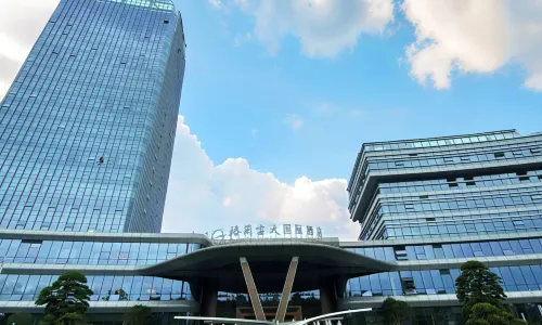 Dingnan Grand Skylight International Hotel