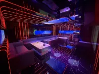 Jinxi Hot Spring Hotel - bar
