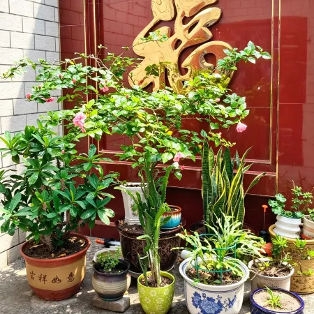 Daixian Jinrui Express Hotel