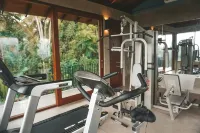 Aarunya Nature Resort and Spa - Gym