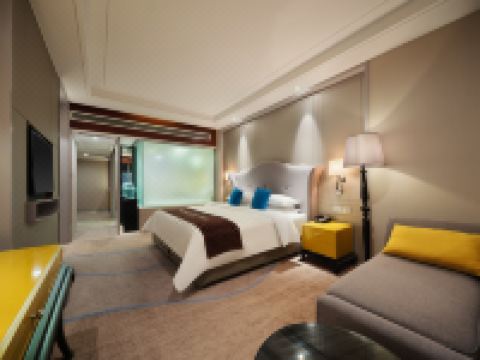 佰仕廷精选酒店(成都四河地铁站店) - 零压舒睡豪华房