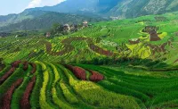 Longji Terraced Field Xinyun Hotel