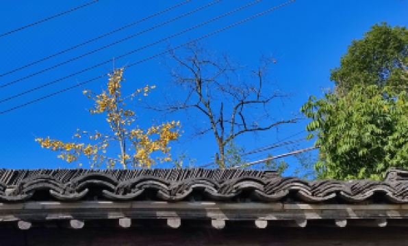 Houyuan Cottage  Homestay