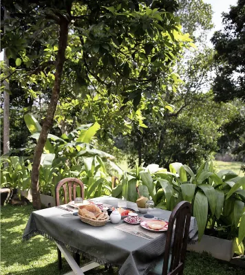 The Jungle Loft Galle