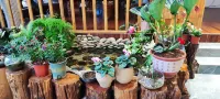 錦崗箐客棧（普洱高鐵站店）