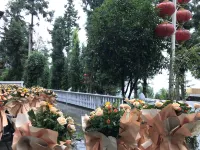 Enshi Grand Canyon Yunshan Town B&B