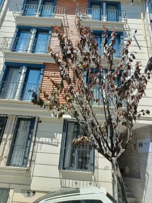 Neva Residence Exterior Photos