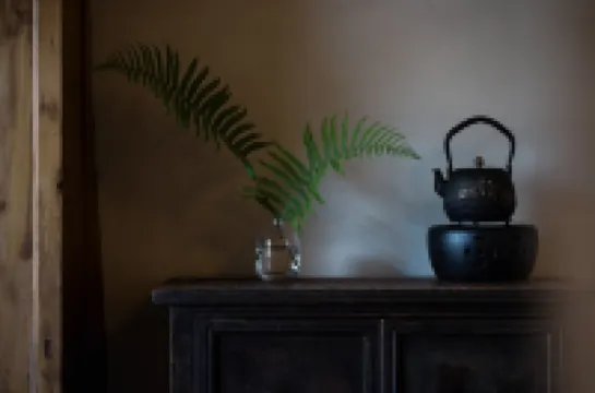 Yibin Changning Shushannan Chinese Inn