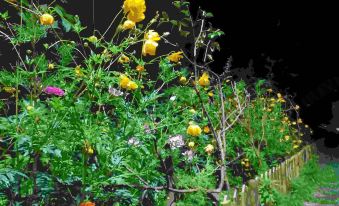 Hua Ting·Lovers Zhangjiajie Mountain View Leisure Vacation Villa (Wulingyuan Scenic Area Branch)