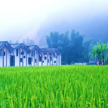 Heduli Paddy Field Homestay