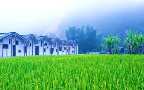 Heduli Paddy Field Homestay Hotels in Dabu County