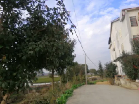 Youxian Xingdu Hotel