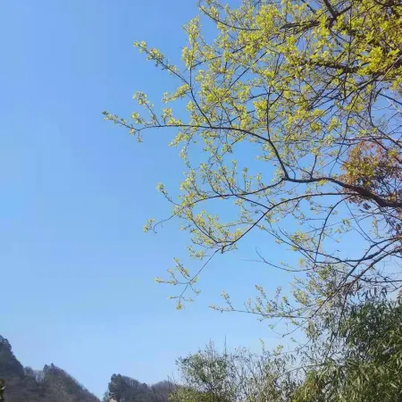 Wudang Mountain Jianzhuang Inn