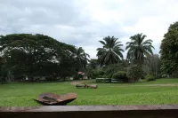 Nabitunich