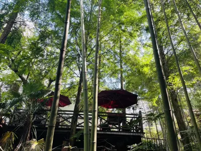 Suxin Xiaozhu Inn Hotels near Geling Wonderland