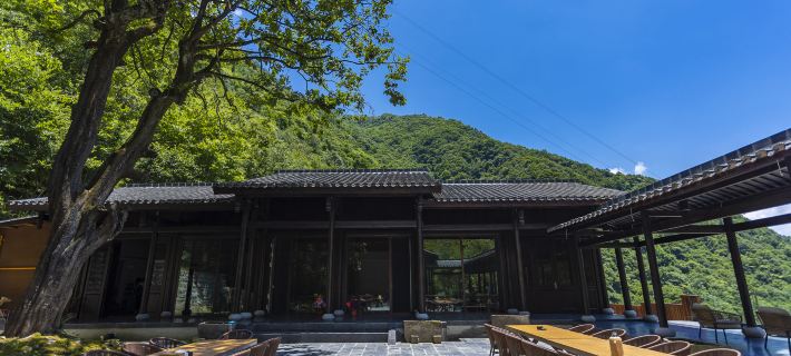 Persimmon Tree Homestay Hotele w: Powiat Pingwu