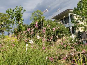 Garden  house