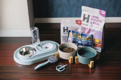 その他 ホテルジャパネスク福岡の写真