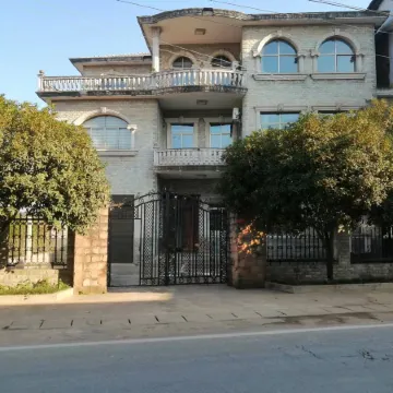 Rice Field & Laurel Tree Hostel