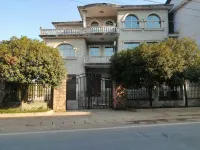 Rice Field & Laurel Tree Hostel