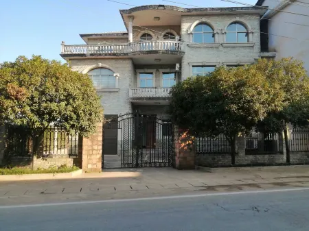 Rice Field & Laurel Tree Hostel