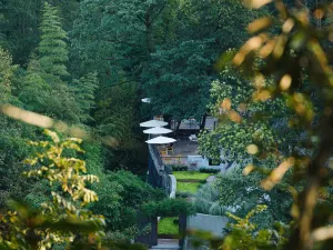 Qingcheng Mountain Just on the Stream · Mountain Stream Bamboo Forest Private Soup B&B