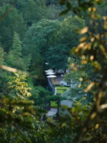 Qingcheng Mountain Just on the Stream · Mountain Stream Bamboo Forest Private Soup B&B