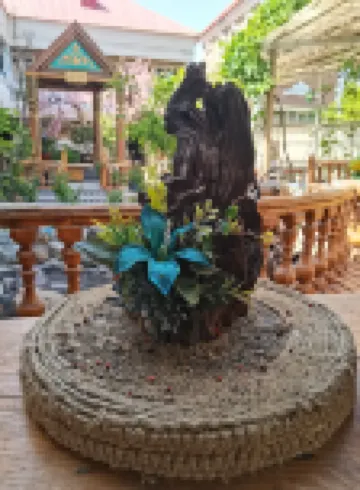 Yining Qingshe Homestay