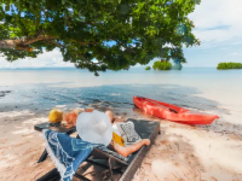 The Funny Lion - Puerto Princesa Hotels in Palawan