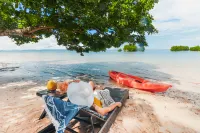 The Funny Lion - Puerto Princesa