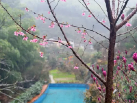 雲上山泉民宿 黄山