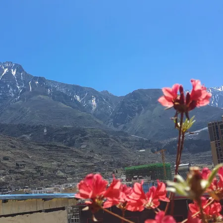 Qihang Theme hotel