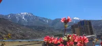 Qihang Theme hotel