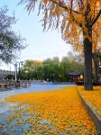 Liyue Garden Inn (Qufu San Kong Scenic Area Store) Hotels in Qufu