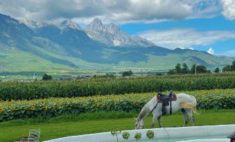 Shanshang Shiji · Yinyushi Xueshan Homestay