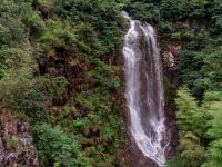 莫干山清逸山居 - 酒店附近