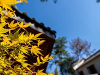 茶陵花溪度假酒店 - 其他